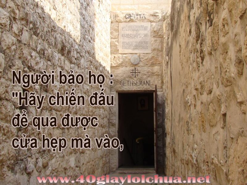 21 Bí Quyết Chọn Bàn Ghế Trung Tâm Ngoại Ngữ Hoàn Hảo Giúp Tối Ưu Hiệu Quả Đào Tạo