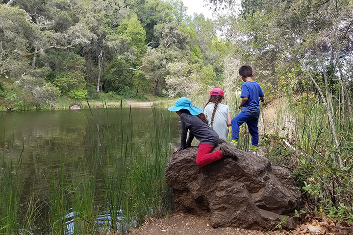 Bộ Bàn Ăn Gỗ 6 Ghế: 5 Tiêu Chí Chọn Lựa Hoàn Hảo Cho Không Gian Sang Trọng