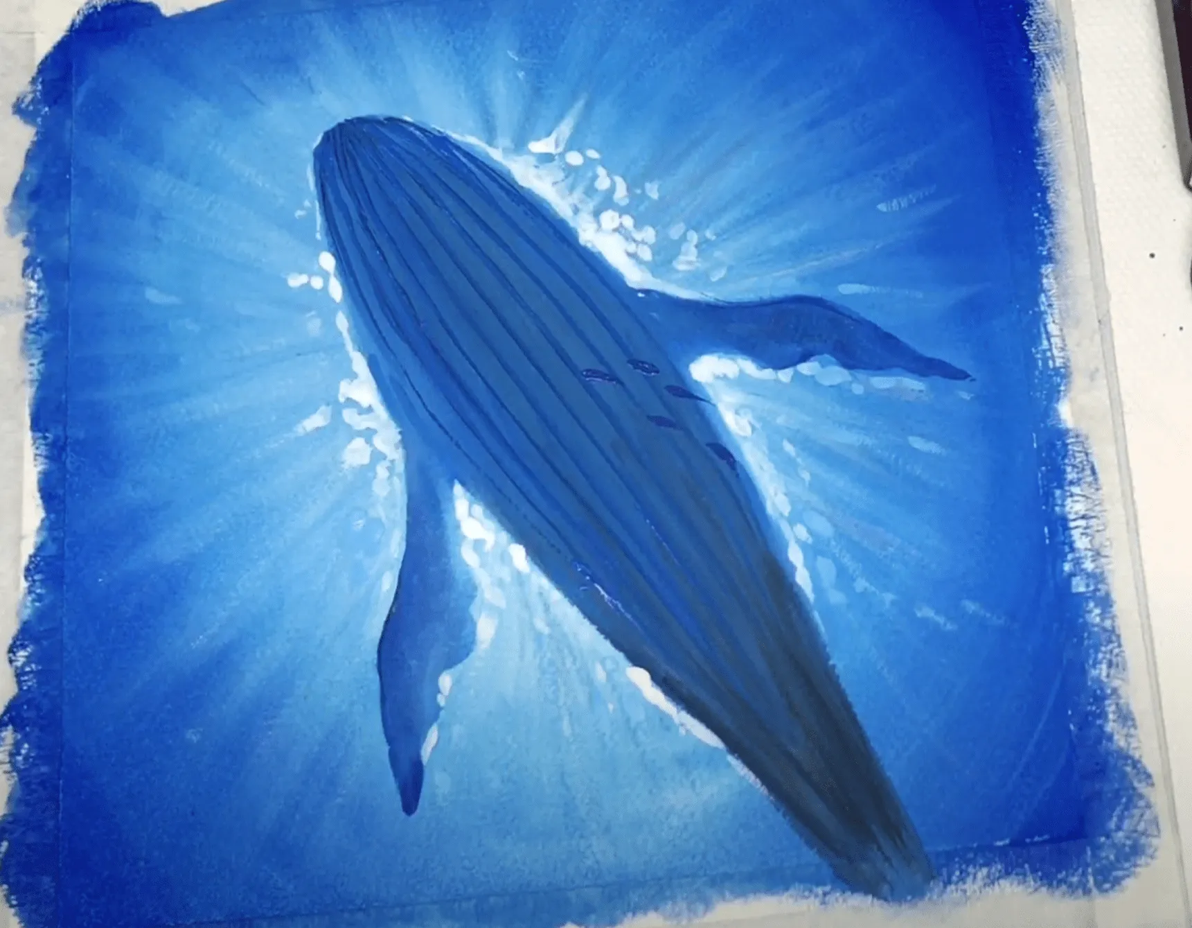 Vẽ gạch dọc cho thân cá