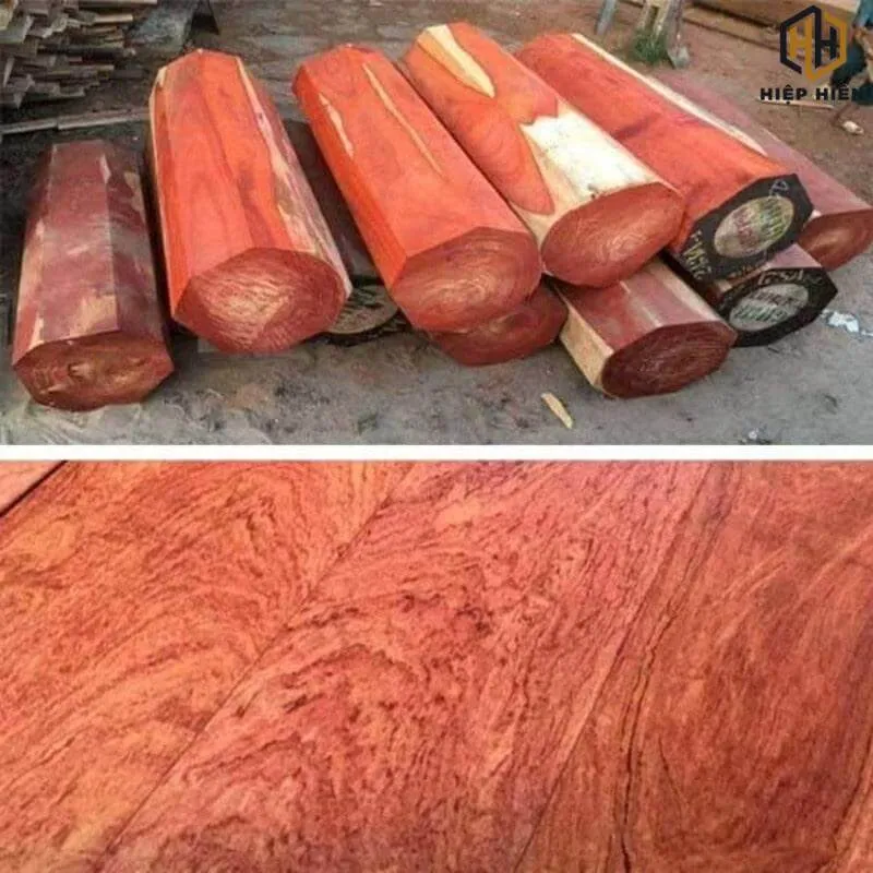 Đặc điểm nhận dạng gỗ hương Nam Phi chất lượng cao