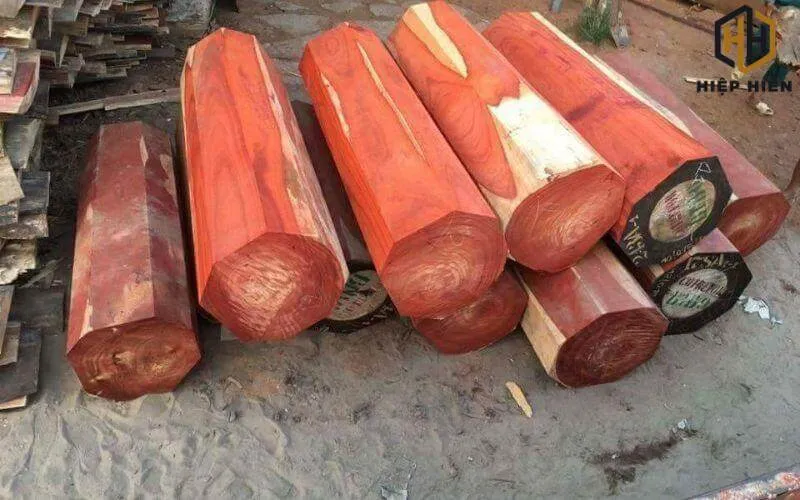 Sơ chế và sấy khô gỗ hương Nam Phi trước khi chế tác