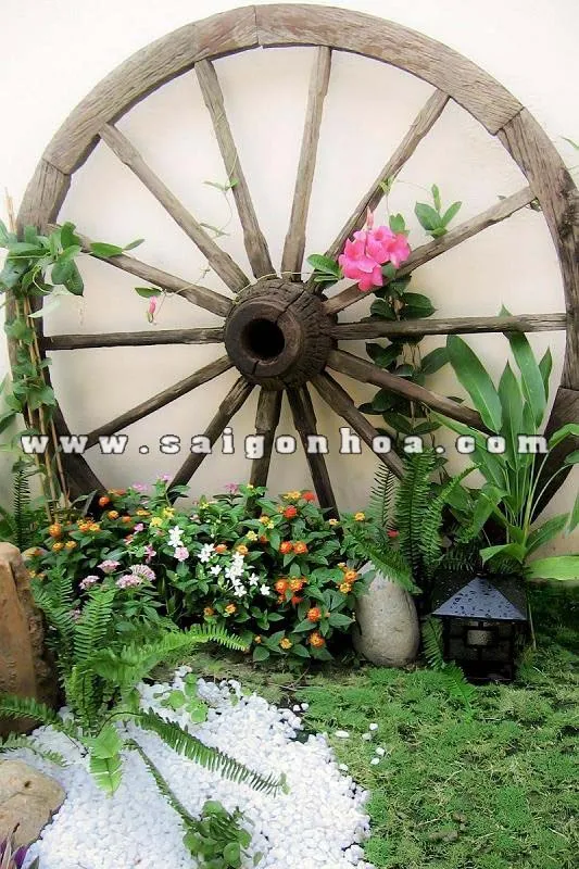 banh xe bo tieu canh