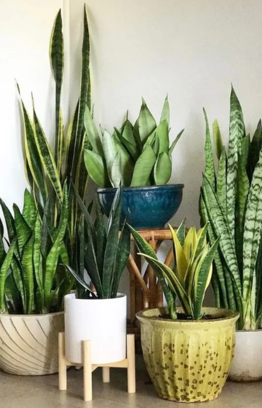 Bộ đồ thờ Táo Quân cơ bản