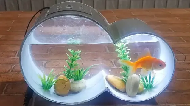 Cách Làm Bể Cá Bằng Ống Nhựa Pvc