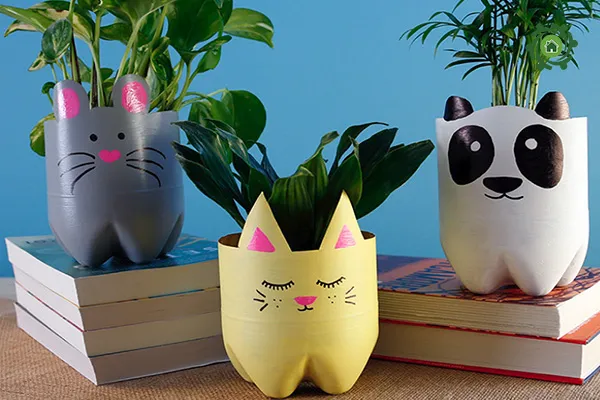 Hình ảnh chậu cây mini tự làm từ chai nhựa trang trí bàn học