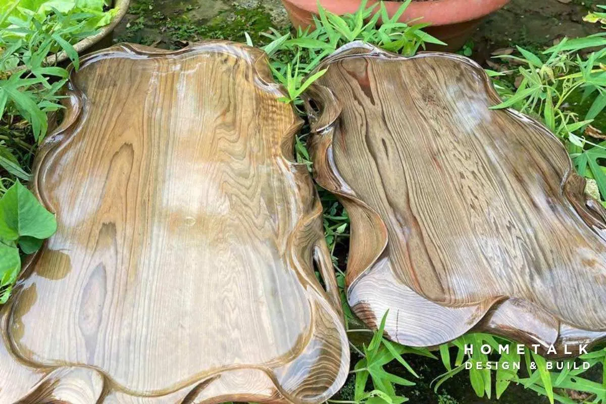 Cây thủy tùng hay còn gọi là thông nước là loại cây hóa thạch sống từ hàng triệu năm trước