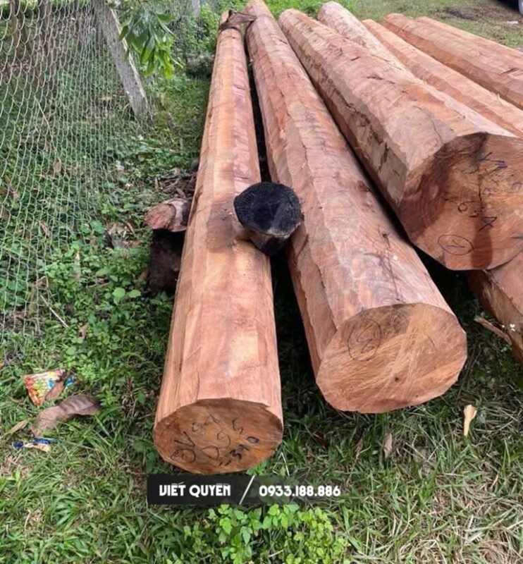 Giá Gỗ Lim Thanh Hóa 2025: Yếu Tố Ảnh Hưởng & Bảng Giá Chi Tiết