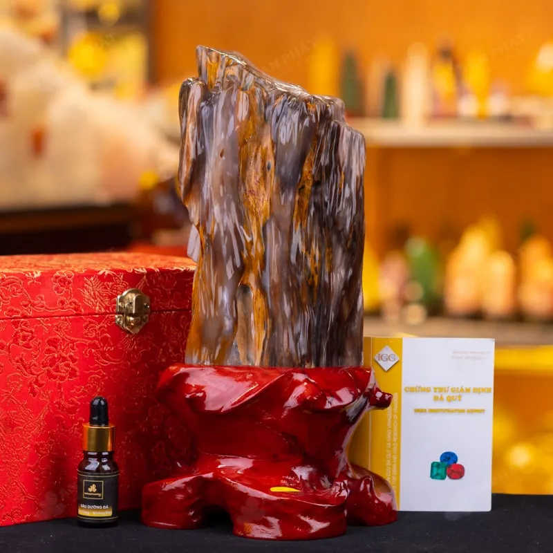 Đá Cảnh Gỗ Hóa Thạch