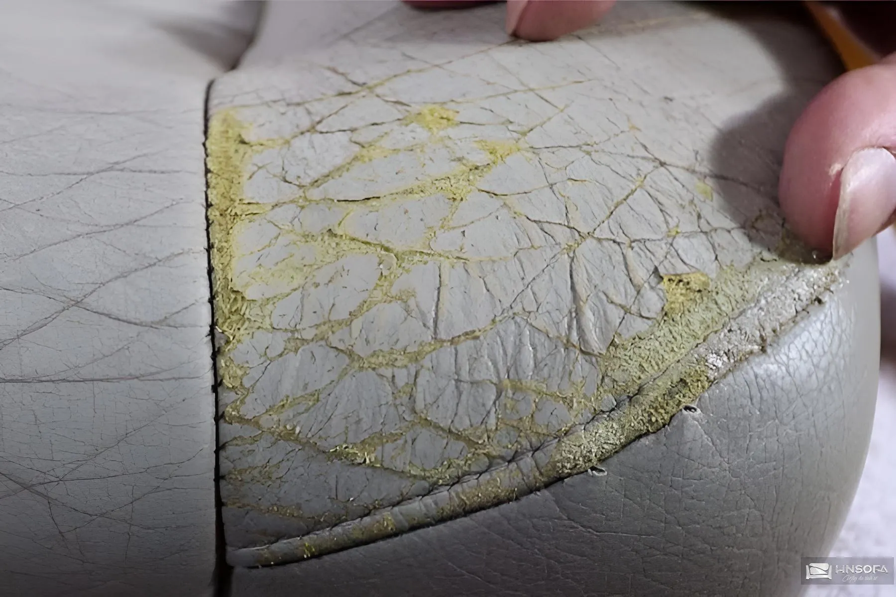 Dấu hiệu nhận biết ghế sofa da bị mốc qua đốm trắng và mùi hôi