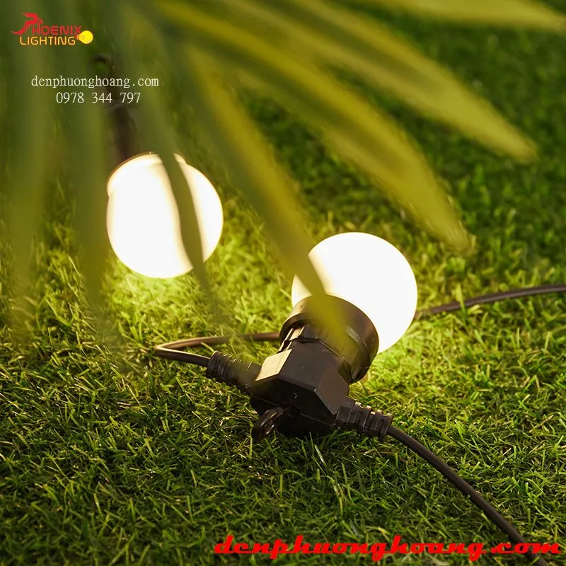 Dây đèn LED trang trí sân vườn quán cà phê
