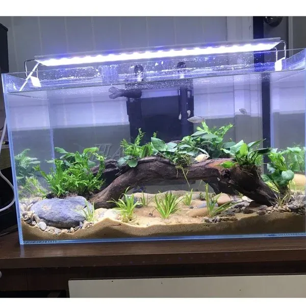 Đèn hồ cá 80cm Fluval Plant với dimmer