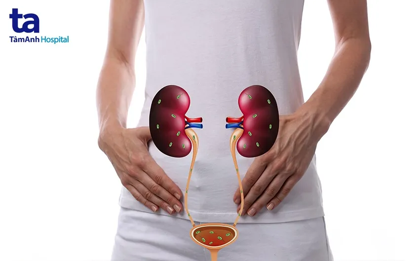 Thiết kế công thái học và tính năng điều chỉnh độ cao của bàn học sinh Hòa Phát