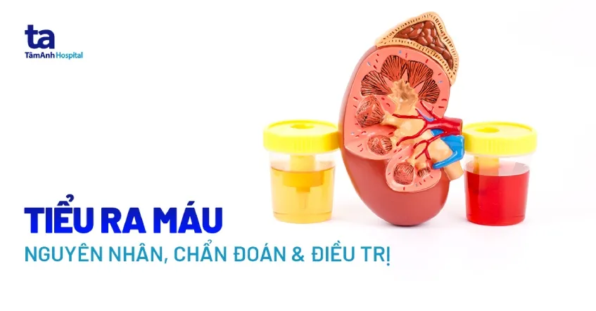 Mẫu bàn học sinh tiểu học Hòa Phát với các tính năng điều chỉnh thông minh