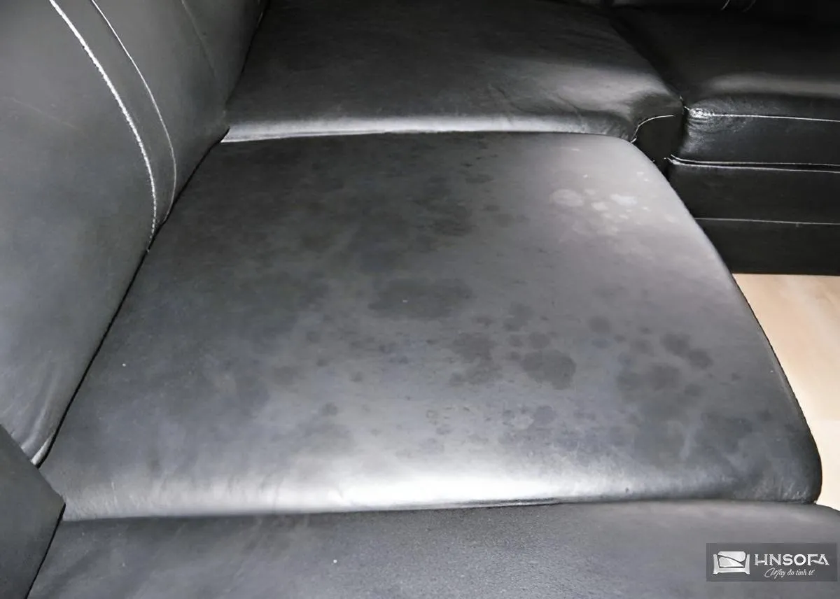 Nguyên nhân ghế sofa da bị mốc do độ ẩm cao và thiếu ánh sáng