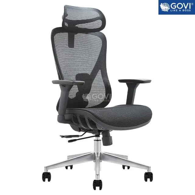 Ghế công thái học Ergonomic Govi Alpha 01 Black