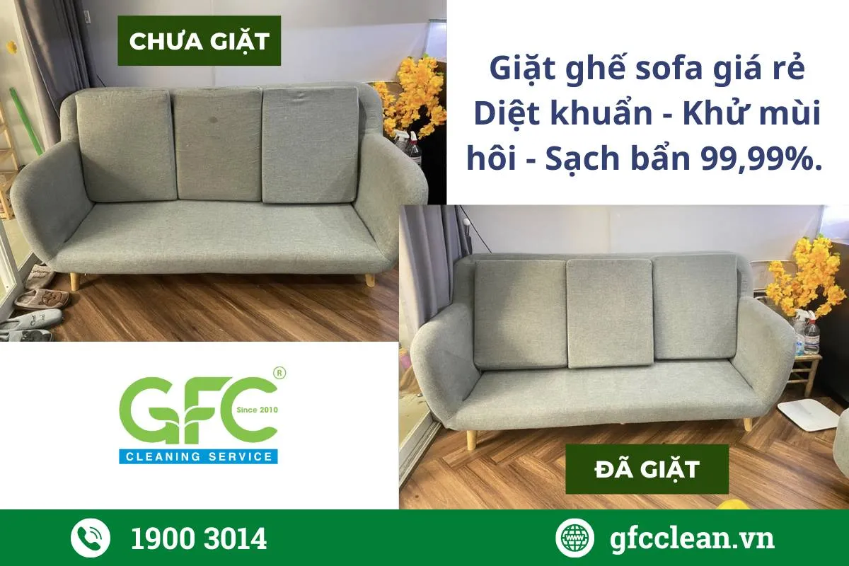 Đội ngũ kỹ thuật viên GFC CLEAN đang kiểm tra chất lượng ghế sofa sau khi vệ sinh, đảm bảo không còn vết bẩn