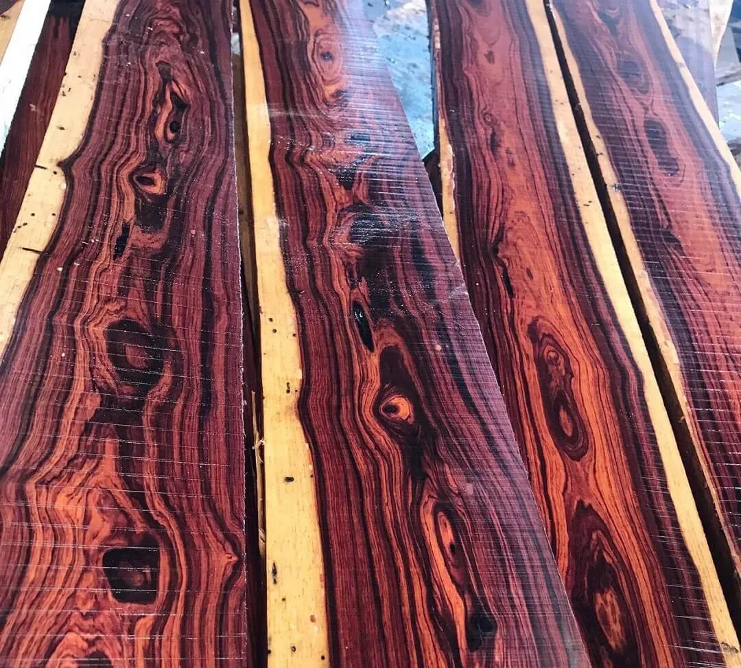 Thân cây Cẩm Lai lớn, biểu thị tuổi thọ và đường kính