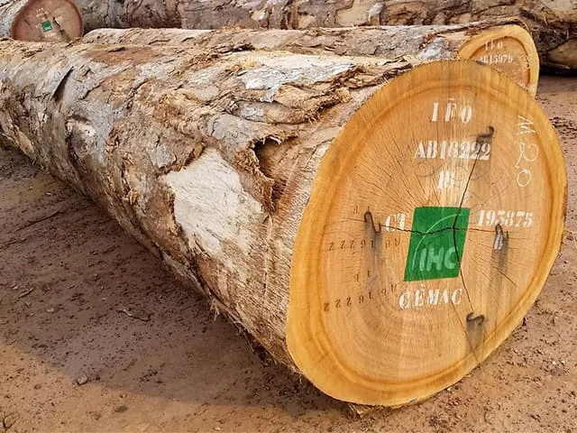 Khối gỗ đinh hương nguyên khối