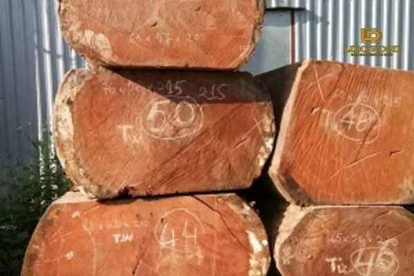 Giá gỗ gõ đỏ Ghana