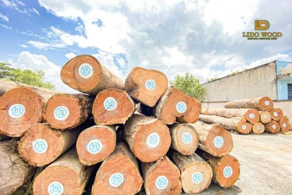 Giá gỗ Ghana trên thị trường