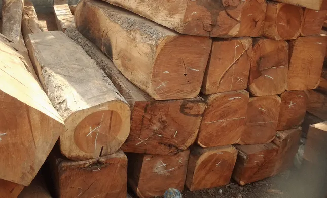 Bộ bàn ghế gỗ gụ Nam Phi sang trọng và thời thượng