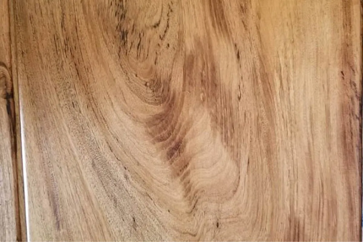 Vân gỗ gụ đặc trưng