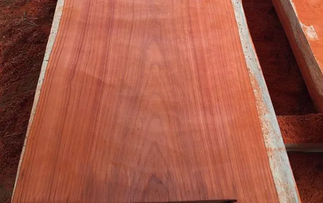 Gỗ hương đỏ Lào