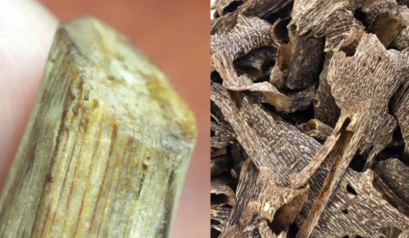 Sản phẩm từ gỗ Kỳ Nam rừng quý hiếm bậc nhất với hương thơm vĩnh cửu