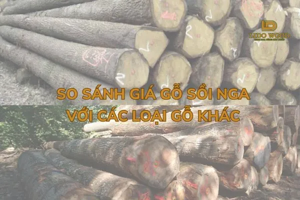So sánh giá gỗ sồi Nga với các loại gỗ khác