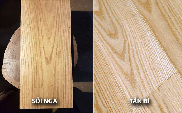 So sánh vân gỗ sồi nga và gỗ tần bì thực tế tại xưởng