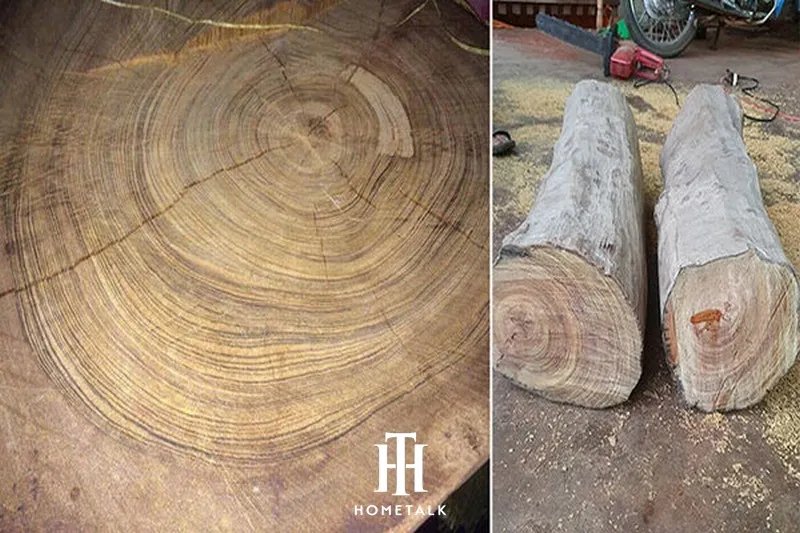 Gỗ thủy tùng thuộc nhóm mấy