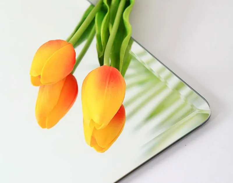 Quy trình lắp đặt gương dán tủ quần áo bằng keo 3M VHB