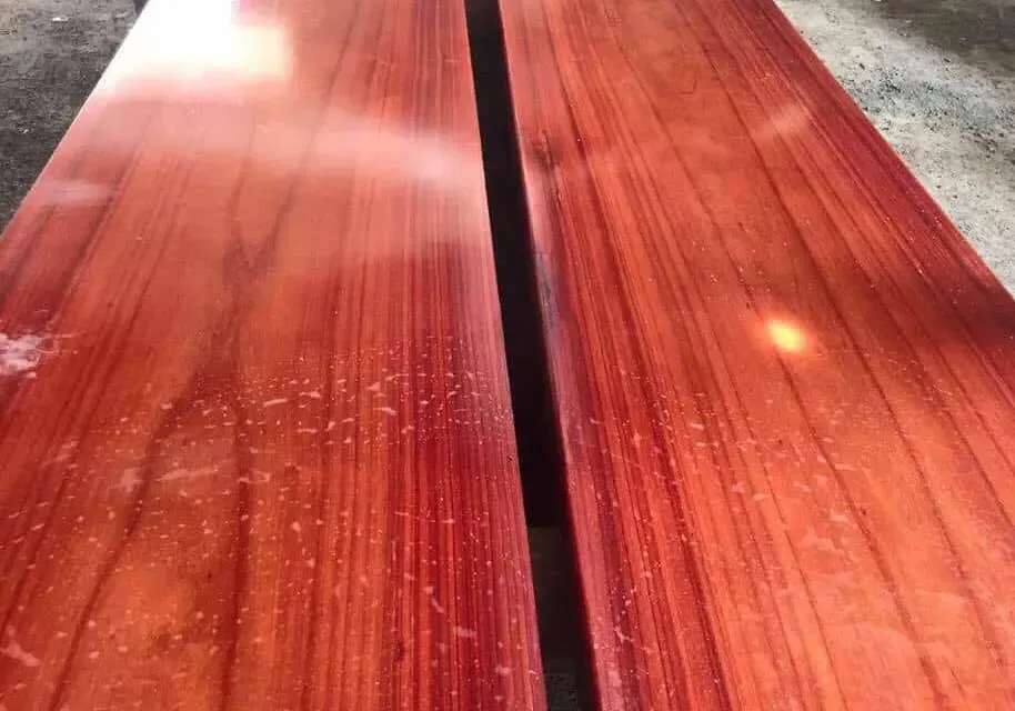 Gỗ hương đá Nam Phi với màu đỏ tươi đặc trưng và vân gỗ có chiều sâu