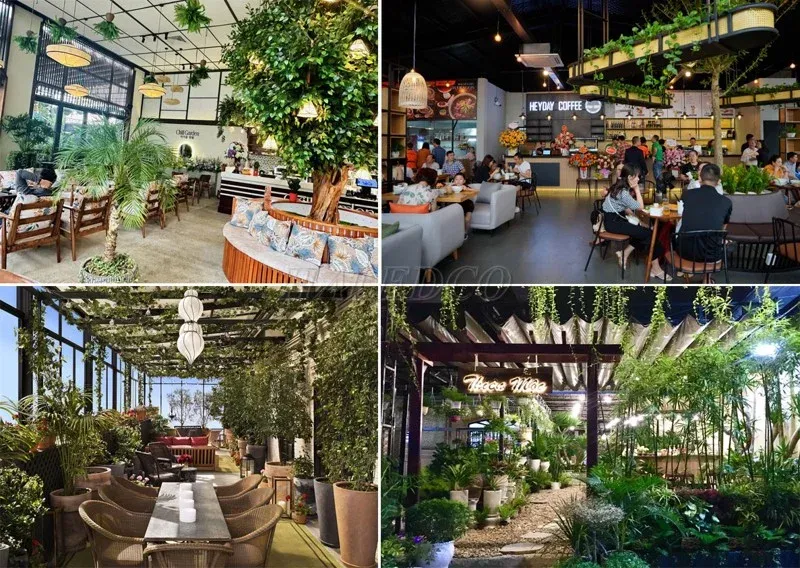 Hô biến trần quán cafe thành vườn cây