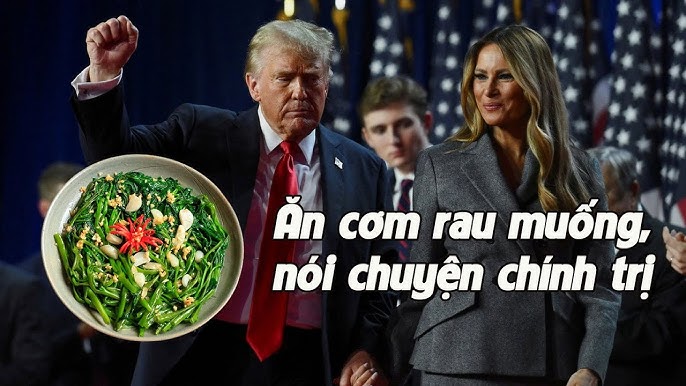 Phân Tích Hiện Tượng Ăn Rau Muống Bàn Chuyện Chính Trị Và Hội Chứng Elitism