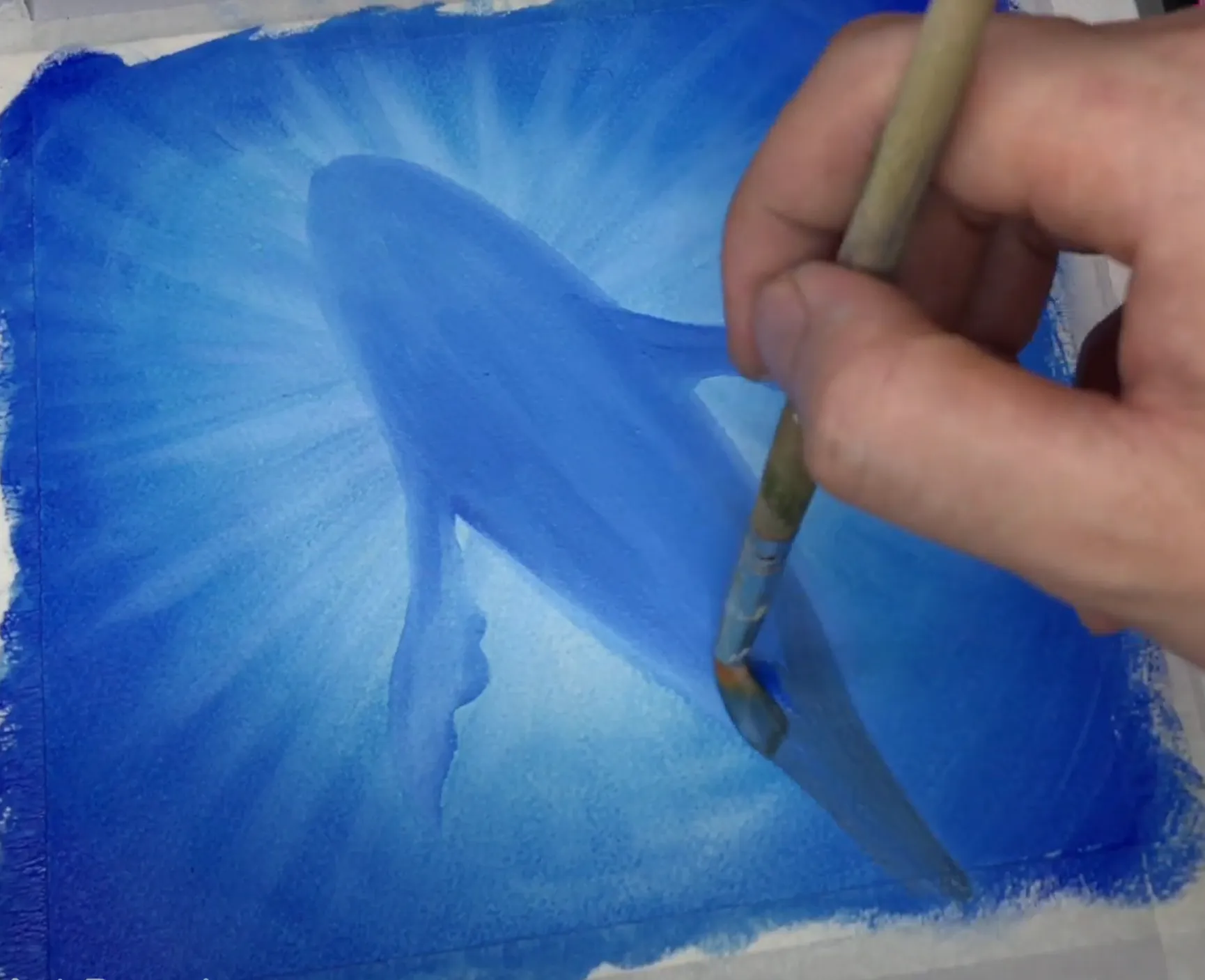 Tạo điểm tối cho thân cá voi