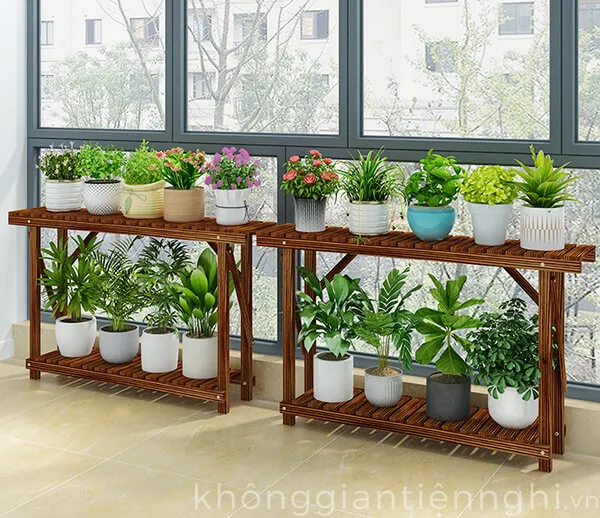 Bố trí cây cảnh khoa học trên kệ gỗ giúp tăng tính thẩm mỹ cho khu vực ban công