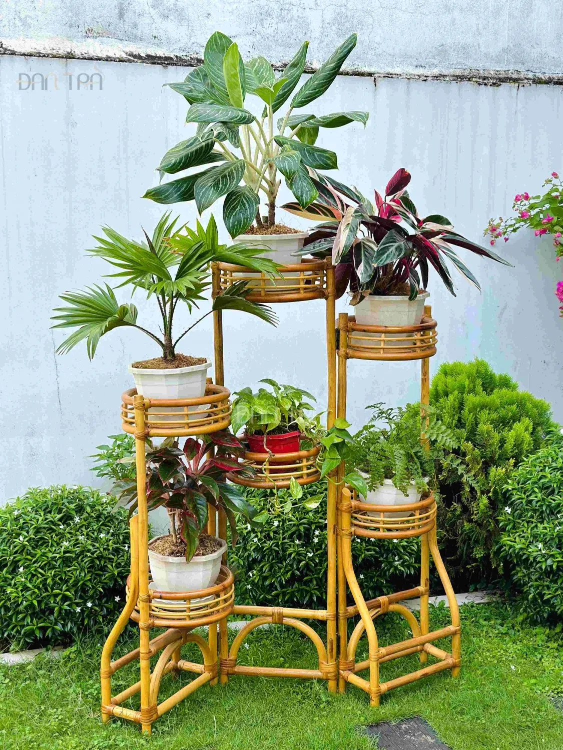 Kệ mây đựng cây 3 vách