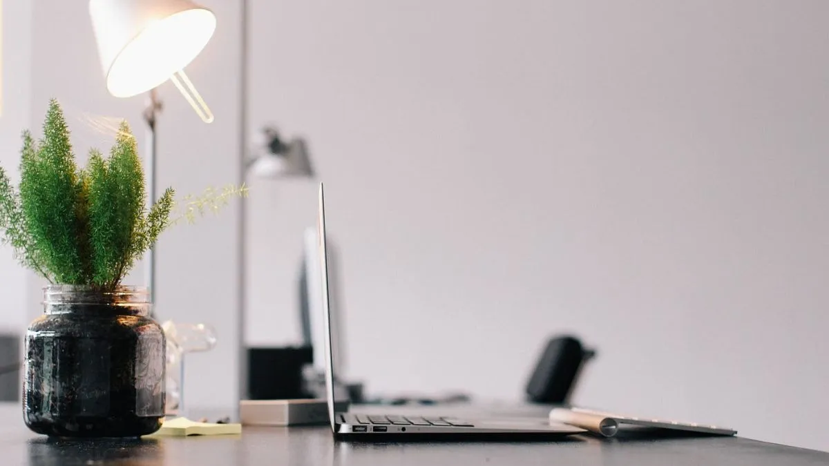 Sử dụng cây xanh và vật phẩm phong thủy để hóa giải thế bàn làm việc đối diện cửa