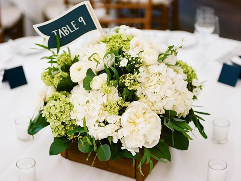 Hoa tươi màu ấm cho mùa đông