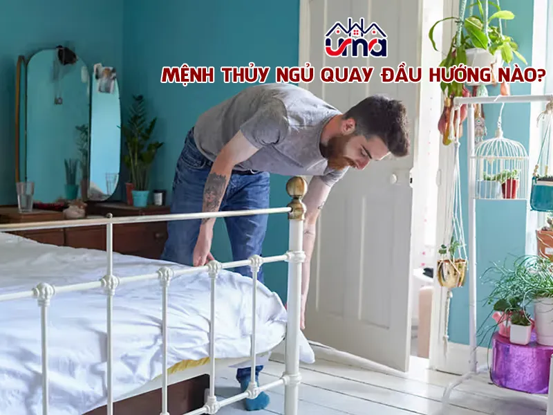 menh-thuy-ngu-quay-dau-huong-nao