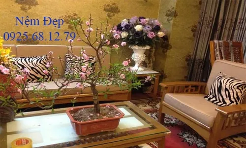 Nệm ghế gỗ phòng khách hiện đại