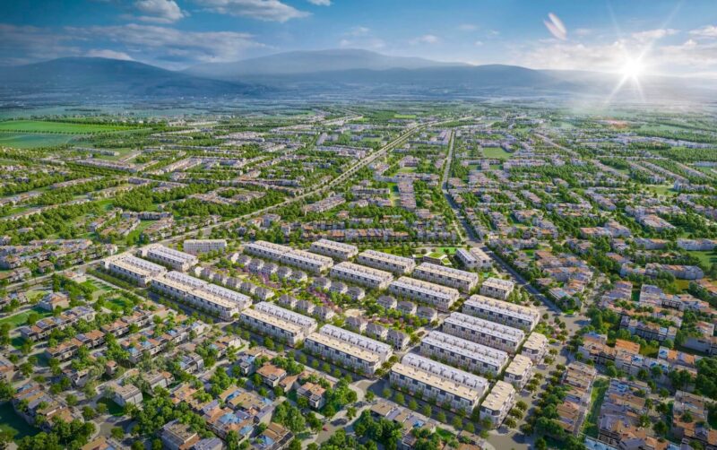 Giá Gỗ Lim Thanh Hóa 2025: Yếu Tố Ảnh Hưởng & Bảng Giá Chi Tiết