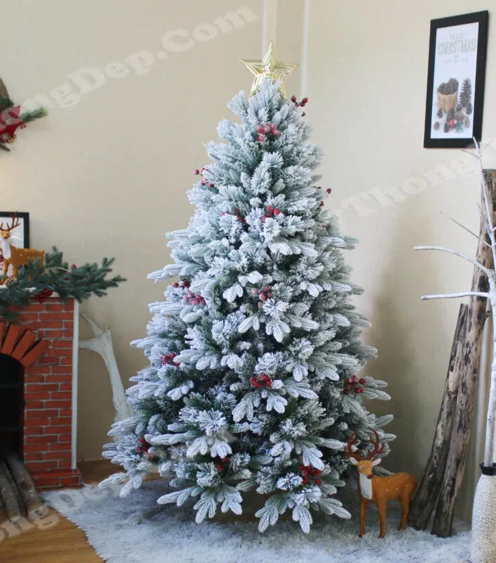 Cây thông gắn trái