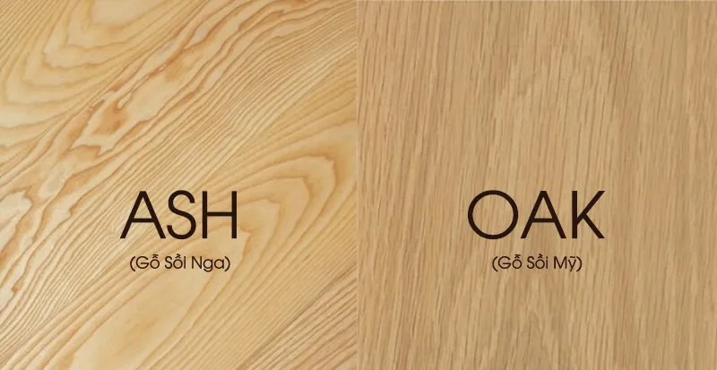 Gỗ Sồi - Gỗ tần bì và sự khác biệt về đường vân