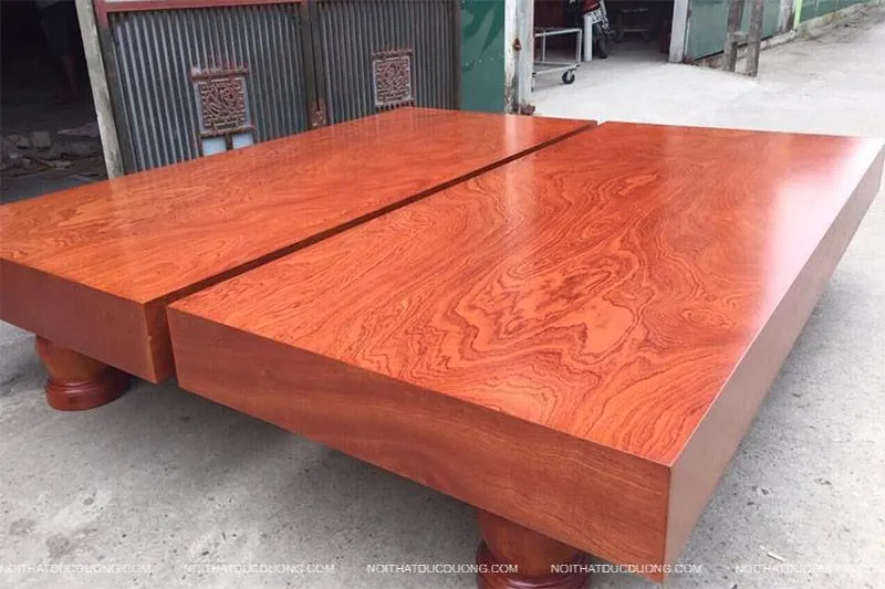 phân biệt gỗ xoan đào và xoan ta qua hình ảnh cây gỗ