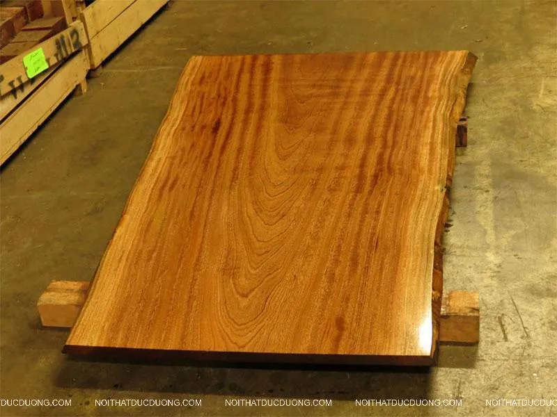 so sánh khả năng chống ẩm mốc của gỗ xoan đào và xoan ta