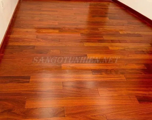 Phương pháp phân loại gỗ hương