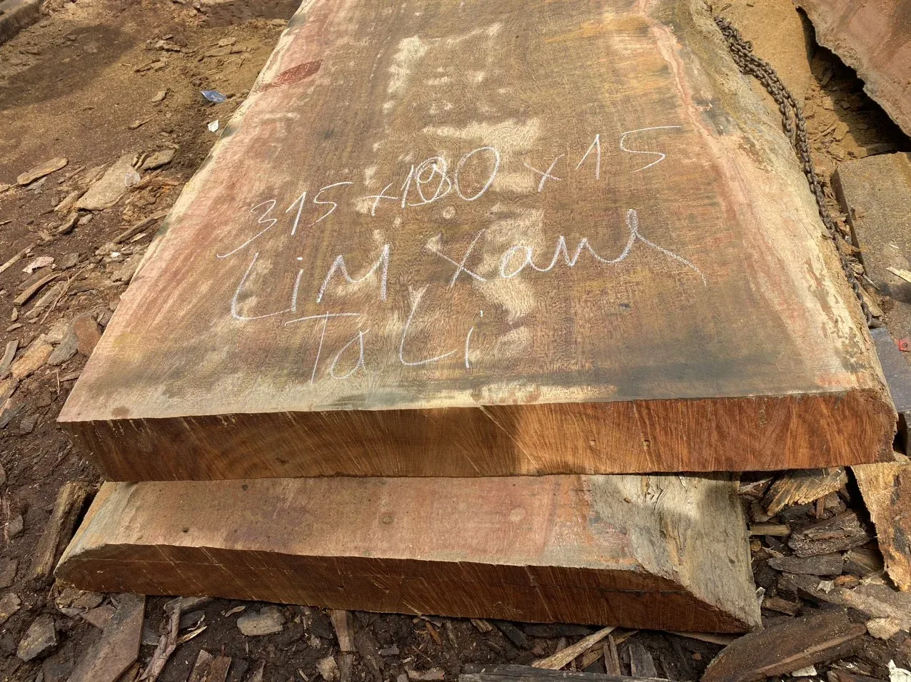 Sập gỗ lim xanh nguyên khối với khả năng kháng mọt tự nhiên cực tốt