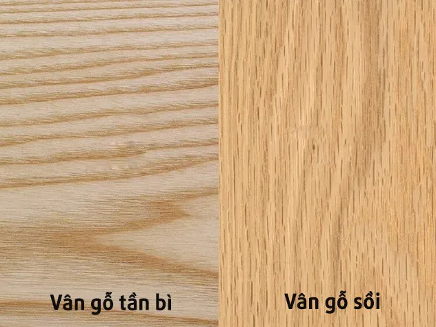 Bảng đối chiếu đặc điểm nhận dạng gỗ sồi và tần bì